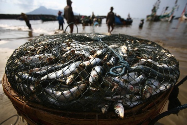 La pesca industrial compromete la pesca artesanal local. (Aman ROCHMAN/AFP PHOTO)