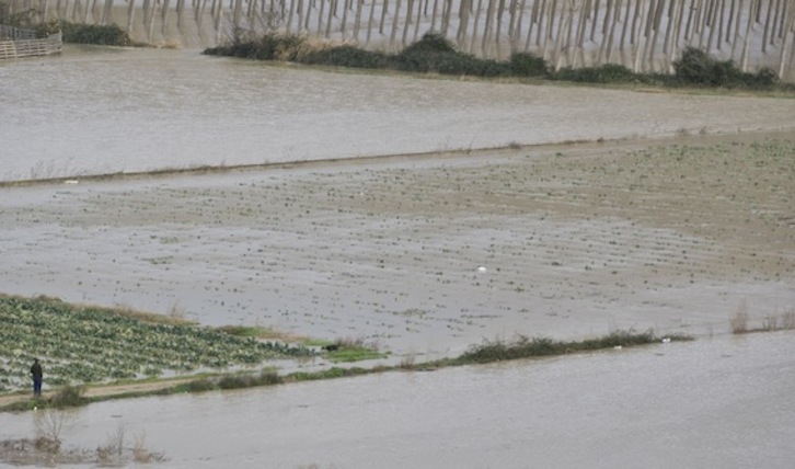 El río Arga se desbordó en Funes, inundando varias hectáreas de cultivo. (Jagoba MANTEROLA/ARGAZKI PRESS)