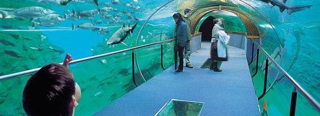 Donostiako Aquariuma. 