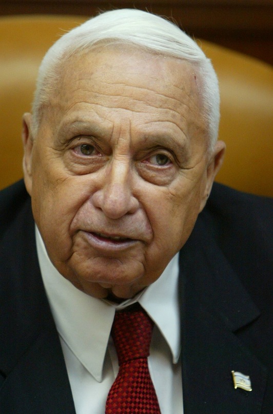 Ariel Sharon, 2006an odoljarioa jasan aurretik hartutako irudian. (Uriel SINAI/AFP)