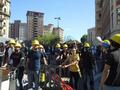 Canvies