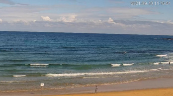 La playa de Zurriola, que presenta este aspecto esta mañana, es donde más algas se han detectado. (www.gipuzkoa.eus)