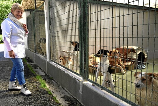 Gema de la Peña, junto a varios perros que esperan ser adoptados por una nueva familia.